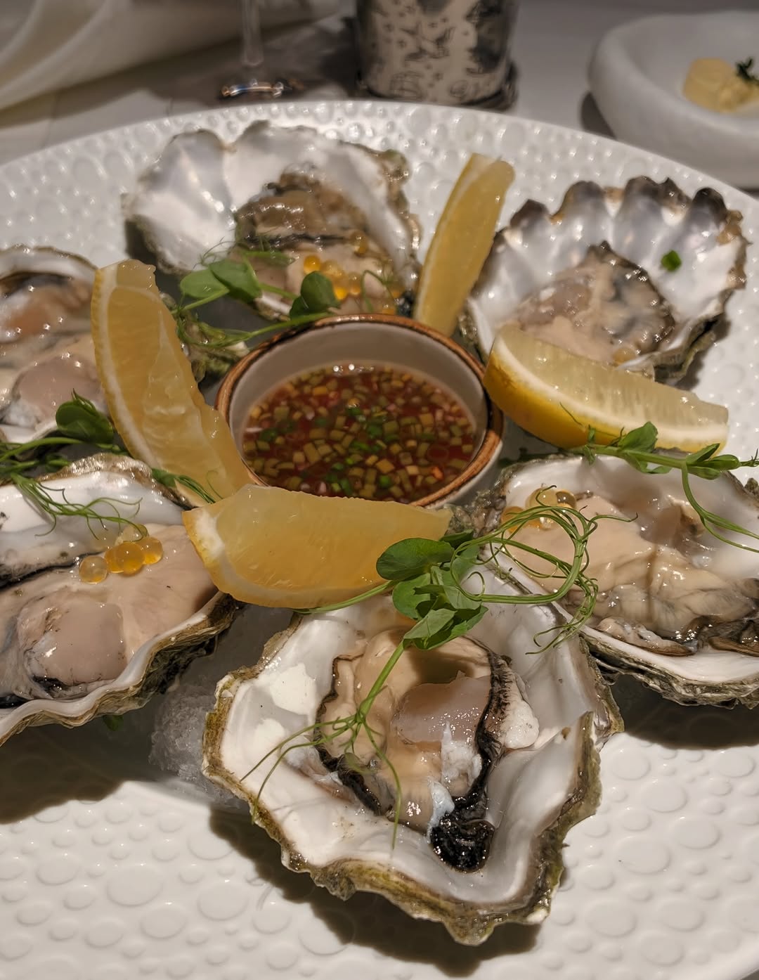 Australian oysters on ice at Brontë